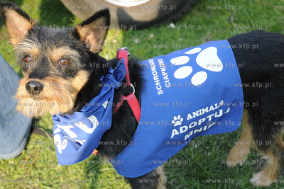 Skwer Arki Gdynia, obok Bulwaru Nadmorskiego odbyl...