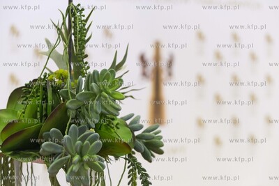 Teatr Muzyczny. Młoda Gala  43. Festiwalu Polskich...