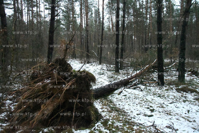 Trwa szacowanie szkod wyrzadzonych przez ostatnie wichury...