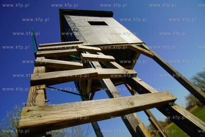 Zniszczona przez nieznanych sprawców ambona ( pocięta...