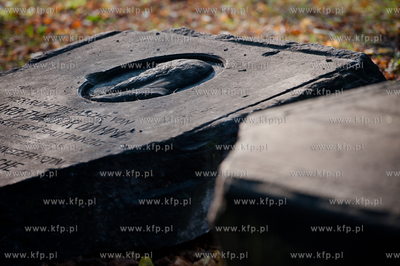 Gdansk. Park obok Politechniki Gdanskiej. Lapidarium...