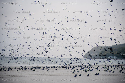 Gdynia. Jesienna, deszczowa pogoda na plazy miejskiej...