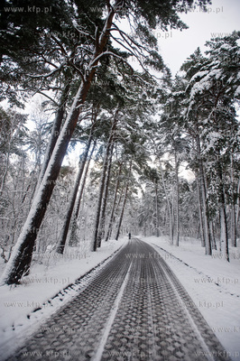 Ggansk. Gorki Zachodnie. Osniezony zimowy krajobraz...