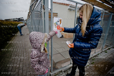 Gdansk. Schronisko dla bezdomych zwierzat Promyk. Akcja...