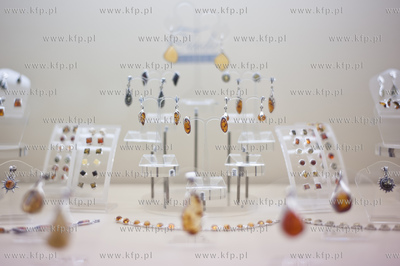 Gdansk. Miedzynarodowe Targi Gdanskie AmberExpo. 21...