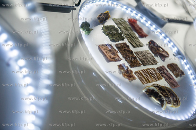 Gdynia. Pomorski Park Naukowo-Technologiczny. Spacer...