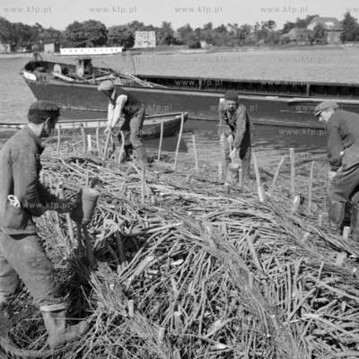 Pracownicy Rejonu Dróg Wodnych z Tczewa przy budowie...