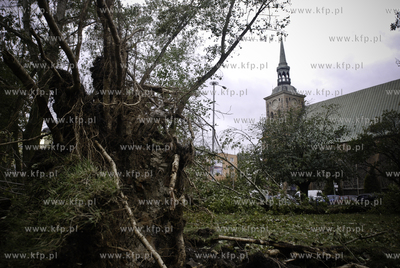 Przewalone ploty i wyrwane z korzeniami drzewa to skutek...