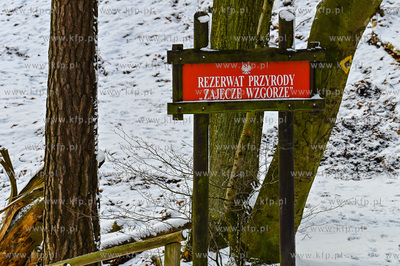 Sopot. Trojmiejski Park Krajobrazowy. Rezerwat Przyrody...