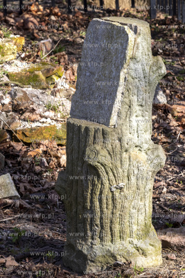 Bogatka, wieś w gminie wiejskiej Pruszcz Gdański...