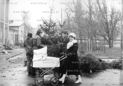 Sprzedaz choinek przed swietami Bozego Narodzenia na...