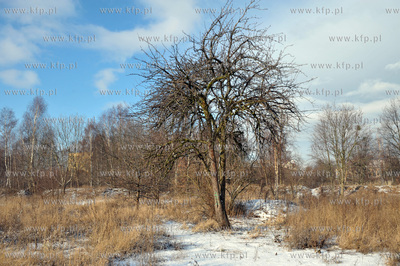 Gdansk Nowy Port. Tereny Szanca Zachodniego pomiedzy...