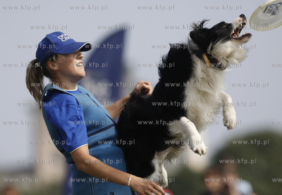 Sopot. Hipodrom. Zawody Frisbee - latajace psy za latajacym...