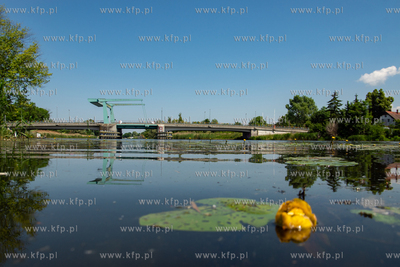 Most zwodzony w Drewnicy nad rzeką Szkarpawą na Pętli...