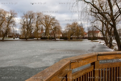 Zima w Parku Oruńskim.  04.02.2019 / Fot. Anna Rezulak...