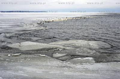 Rewa. Zamarznieta Zatoka Pucka 21.01.2010fot. Wojciech...