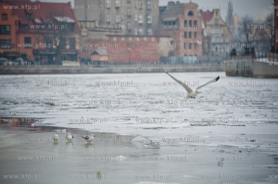 Gdansk. Niskie temperatury skuly lodem wody Motlawy....