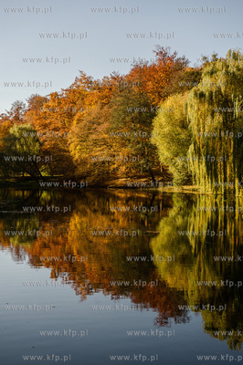 Gdansk. Jesienne, sloneczne przedpoludnie w Parku Orunskim.
27.10.2015
fot....