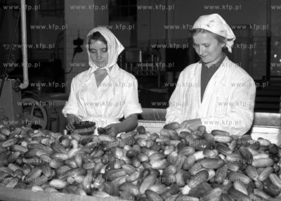 Zaklady Przetworstwa Owocowo-Warzywnego Dagoma w Gdansku....