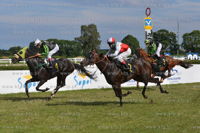 Wyscigi konne na sopockim Hipodromie. 17.07.2016 fot....