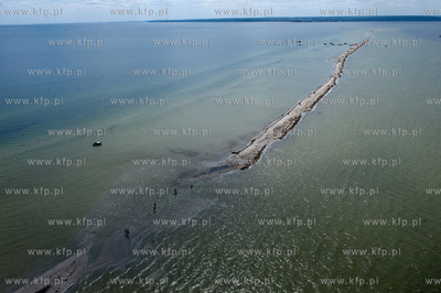 Marsz Sledzia odbywa sie Rybitwia Mielizna (Rewa Mew)...