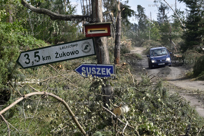 Skutki wichury na Pomorzu. Zniszczony przez wiatr las...