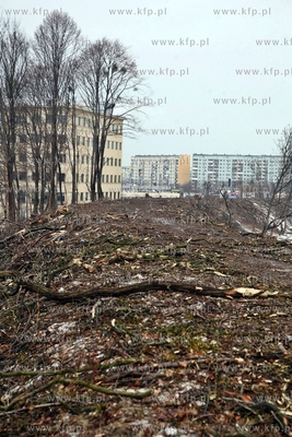 Wycinka drzew pod budowe trasy Pomorskiejpomorks Kolei...