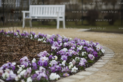 Sopot. Park przy Willi Herbstów.
30.03.2017
fot....