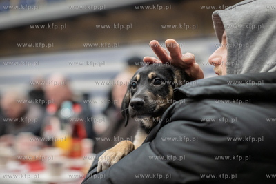 Sopot. Spotkanie świąteczne dla osób samotnych,...