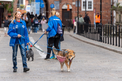 Święto Ulicy Ogarnej, podczas którego, w ramach...