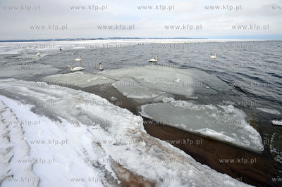 Rewa. Zamarznieta Zatoka Pucka 21.01.2010fot. Wojciech...