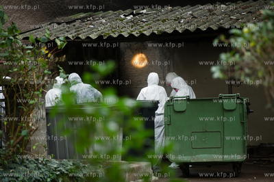 Gdansk. Podworze kamienicy przy ul. Dlugi Targ. Odnalezienie...