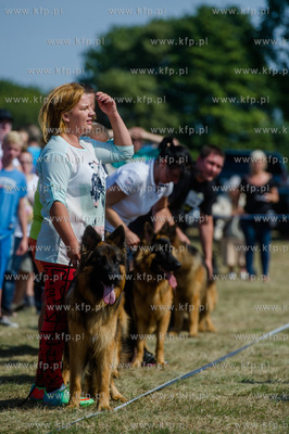 Sopot. Hipodrom. Miedzynarodowa Wystawa Psow Rasowych.
23.08.2015
fot....