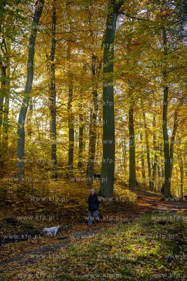 Gdansk. Jesienne, sloneczne przedpoludnie w Parku Orunskim.
27.10.2015
fot....