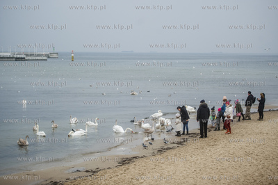 Sopot. Molo. Niedzielni spacerowicze, ktorych nie odstrasza...