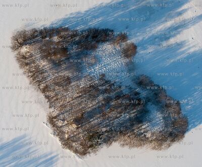 XIII Pomorski Konkurs Fotografii Prasowej Gdansk Press...