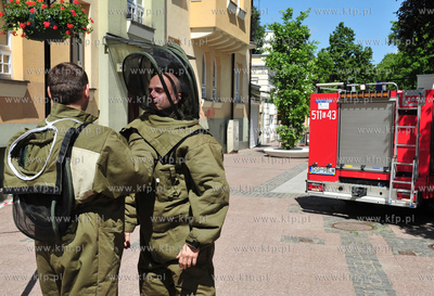 Sopot. Rog ulic Monte Cassino i Haffnera. Roj pszczol...