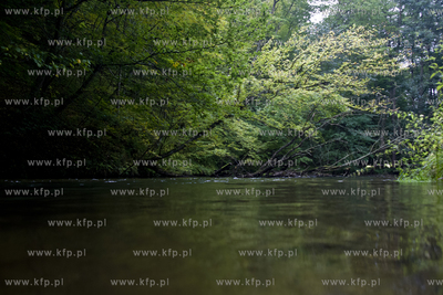 Babi Dol. Jar Raduni. 21.09.2014 fot. Pawel Marcinko...