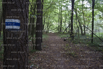 Babi Dol. Jar Raduni. 21.09.2014 fot. Pawel Marcinko...