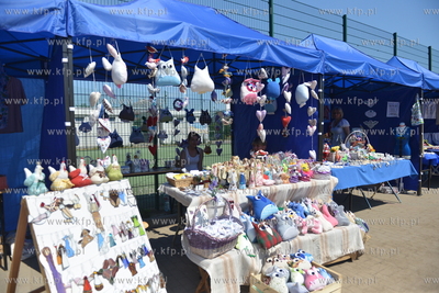 XVII Swiatowy Zjazd Kaszubow w Redzie. 
04.07.2015
Fot....