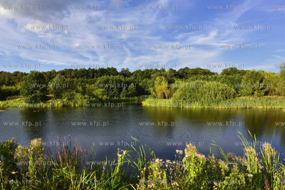Gdansk. Park Reagana 29.08.2015 fot. Jan Harb Sieminski...