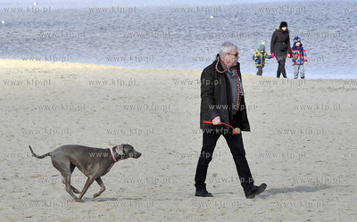 Plaza. Sopot. Okolice Molo. Psy na plazy. 27.02.2016...