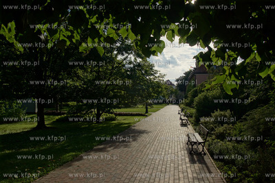 Park Oliwski. 04.08.2016 fot. Paweł Marcinko / KFP