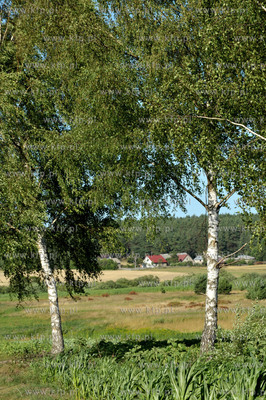 Wies Olpuch na Kaszubach. 21.07.2013 Fot. Maciej Kosycarz...