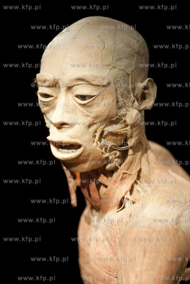 Wystawa o ciele ludzkim Human Body.
30.04.2013
fot....