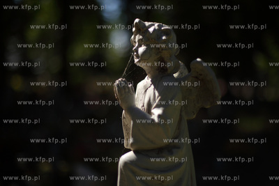 Zukowo. Cmentarz.
29.08.2014
fot. Krzysztof Mystkowski...