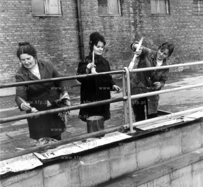 Kobiety maluja ( w czynie spolecznym ? ) barierki przy...