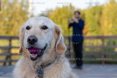 Gdańsk, Jasień. Koncerty nad Stawem Wróbla - Emil...