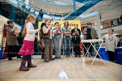 Gdansk. Galeria Baltycka. Obchody swiatowego dnia kota....