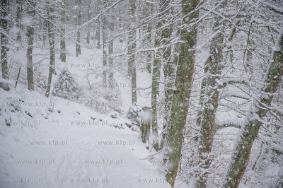 Sniezny zimowy dzien nad jeziorem Otominskim.
21.01.2016
fot....